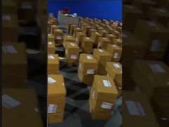 বিকিনি সেক্সি ওয়ান পিস বাথিং স্যুট কালার ম্যাচিং কনজারভেটিভ উইমেন ওয়ান পিস সাঁতারের পোষাক